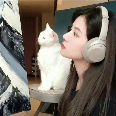 无序之主